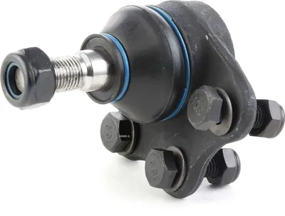 Produktbild von RIDEX Traggelenk Vorne für FIAT Doblo Cargo (223) 2462S0128