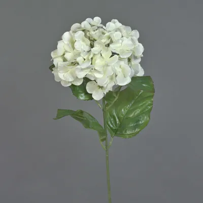 Produktbild von artplants.de Deko Hortensien Zweig, Creme, 65cm - Textilblume