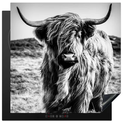 Obrázek produktu pro KitchenYeah® Krycí deska na sporák Scottish Highlander - Nature - Cow - Black - White , 78x78cm, dekorace do kuchyně, keramická krycí deska na sporák, krycí deska na sporák
