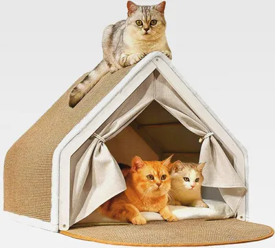 Produktbild von Katzenhaus Katzenzelt Sisal Kratzhaus, 2-in-1 Holz Katzenzelt Drinnen & Kratzbrett Katze, Katzenhöhle für Zwei Katzen, Katzen rückzugsort (Beige, L)