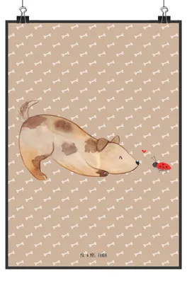 Produktbild von Mr. & Mrs. Panda Bild Hund Marienkäfer DIN A1 - Hundeglück - Geschenk, Sprüche, Neugierig, wanddeko, Wandbild, Mischlingshund, Mischlinghund, Hunde, drucke, Wandschmuck