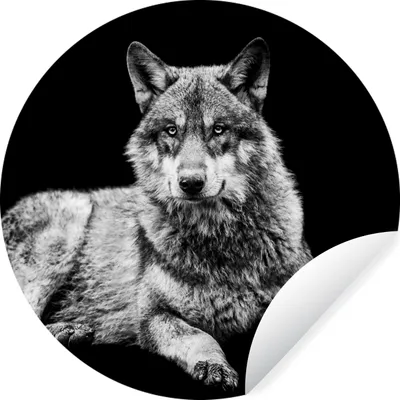 Produktbild von MuchoWow® Runde Wandtattoo - Wandsticker Tapete Aufkleber Wildlife - Wolf - Schwarz - Weiß Ø 100 cm Selbstklebend und Repositionierbar - Wandaufkleber - Kreis - Tapetenkreis - Wandbild rund - Schlafzimmerdekoration - Wanddeko - runde Tapete - Kunst für zu Hause