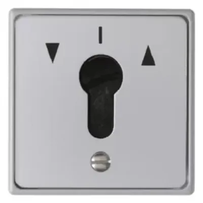 Zdjęcie produktu dla Berker 4449, Przełącznik kluczykowy, 1P, Szary, Zacisk śrubowy, 250 V, 75 mm