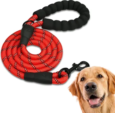 Produktbild von Hundeleine, starke Leine mit gepolstertem Griff für kleine, mittlere und große Hunde, (200 cm)