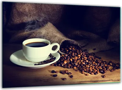 Produktbild von Glas Herdabdeckplatten Schneidebrett Universal 30x22cm Kaffee