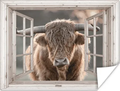 Produktbild von MuchoWow® Poster Schottischer Highlander - Holz - Ansicht 160x120 cm - Foto Plakat