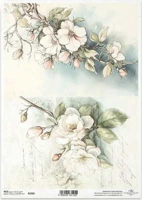 Image de ITD Papier de riz découpage Papier de bricolage Technique de serviettes R2585 Fleurs Branches Bourgeons