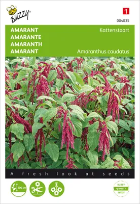 Artikelbild 2 von 'Amarant Roter Fuchsschwanz' aus der Kategorie Fuchsschwanzsamen