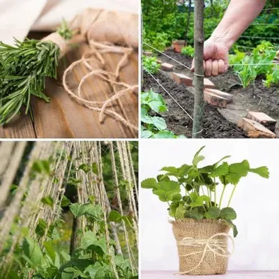 Produktbild von 50m Juteschnur aus Naturfaser 1.5 mm - 100% Biologisch Abbaubar - zum Basteln, als Deko, Geschenkverpackung, als Naturfaser Paketschnur für Garten (50m Länge, 1.5mm Stärke)