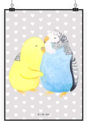 Produktbild von Mr. & Mrs. Panda Bild Wellensittich Liebe DIN A0 - Grau Pastell - Geschenk, Vögel, Freundin, wanddeko, Deko, Umarmung, Wandbild, Wanddekoration, Verknallt, Umarmen