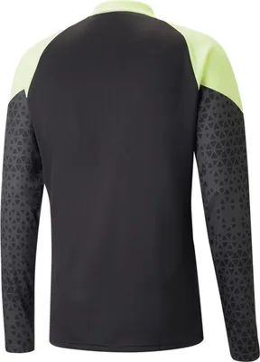 Produktbild von Puma Individualcup Training 14 Zip Top 65829151 Herren