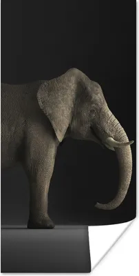 Produktbild von MuchoWow® Poster Elefant - Tiere - Licht 20x40 cm - Plakat - Foto