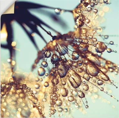 Produktbild von ARTland Wandbild, selbstklebend Pusteblume Goldener Regen Größe: 40x40 cm