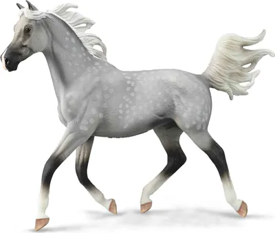 Image de Collecta 88959 Mâle demi-arabe Dapple Grey Le monde des chevaux