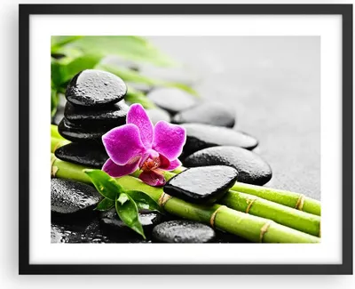Produktbild von Gerahmtes Poster - Schwarzer Rahmen - Pflanze Steine Bambus Spa - 50x40 cm - Wand Bild - Wanddeko - Wandbilder - Wandposter - Bilderrahmen - Bilder - Kunstdruck - Wandbild - P2BAA50x40-2681