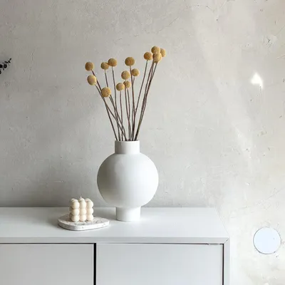 Image de Craspedia - Tiges en forme de tambour - Fleurs séchées et conservées (30-40cm)