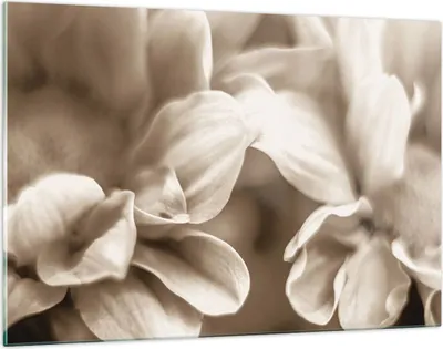 Produktbild von Bilder auf glas - Einteilig - Blumen Boho ohne - 120x80cm - Glasbilder - Wandbilder - Bilder - zum Aufhängen bereit - Wanddekoration aus Glas - Glas Bilder - Wandbild auf Glas - GAA120x80-4767