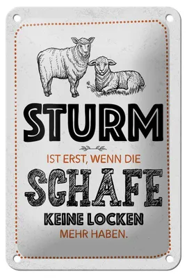 Produktbild von Blechschild Spruch lustig Sturm wenn Schafe Locken 12x18cm Schild