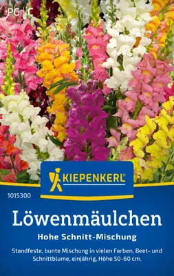 Produktbild von Kiepenkerl Löwenmäulchen Samen Hohe Schnitt 200 Pflanzen