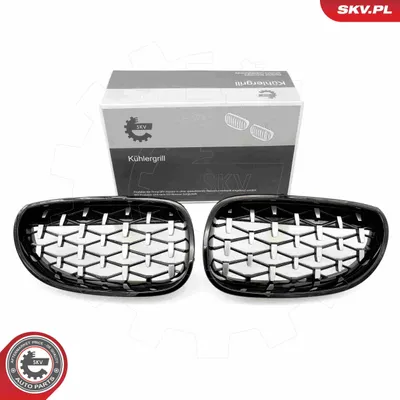 Produktbild von ESEN SKV 66SKV175 Kühlergrill Frontgrill für BMW 5 Limousine (E60) Schwarz Glänzend Silber