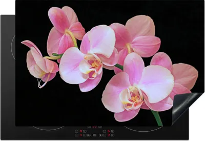 Produktbild von KitchenYeah© Herdabdeckplatte Eine Nahaufnahme von rosa Orchideen auf einem schwarzen Hintergrund , 78x52cm, Küche Deko, Glaskeramikkochfeld Herdabdeckung, Abdeckplatte fùr Kochfeld