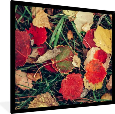 Produktbild von MuchoWow® Gerahmtes Poster Blätter - November - Herbst - Natur 40x40 cm - Poster mit Schwarzem Bilderrahmen Wandposter Rahmen Foto Bilder - Mit Rahmen - Wanddekoration Schlafzimmer