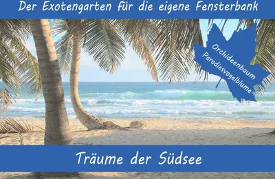 Produktbild von Anzuchtset Träume der Südsee | Anzuchtsets von Saflax