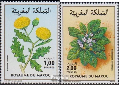 Produktbild von Briefmarken Marokko 1986 Mi 1094-1095 (kompl.Ausg.) postfrisch Flora