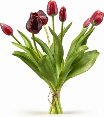 Obrázok produktu pre Kytica tulipánov tmavočervená Real Touch umelé tulipány – 7 stoniek – 42 cm – Vysoko kvalitná kytica umelých kvetov v bordovej farbe – Dekorácia bez údržby na stôl, poličku a do obývacej izby
