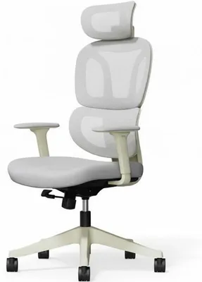 Produktbild von Ergonomischer Bürostuhl BS5, grau