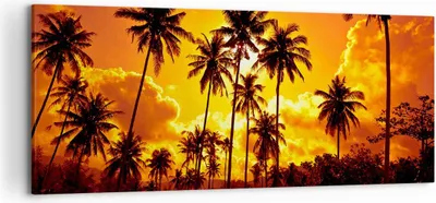 Produktbild von Bild auf Leinwand - Leinwandbild - Palmen Bäume Sonne - 120x50cm - Wand Bild - Wanddeko - Leinwanddruck - Bilder - Kunstdruck - Wanddekoration - Leinwand bilder - Wandkunst - AB120x50-0187