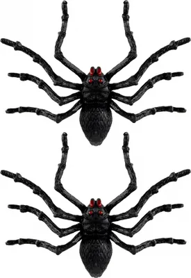 Produktbild von Knorrige schwarze Halloween Spinnen 2 Stück