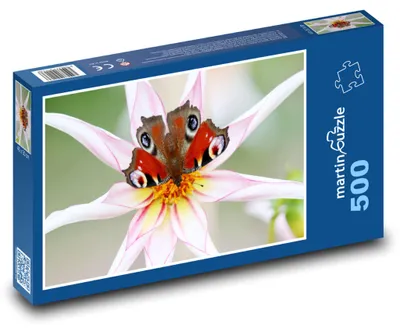 Obrázok produktu pre Puzzle 500 Motýľ na kvete - martinpuzzle