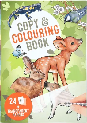 Image de Livre de couverture sur les animaux sauvages