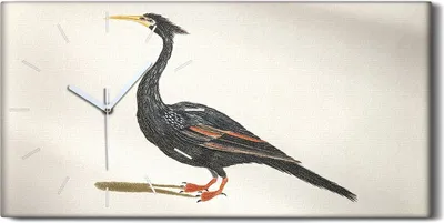Produktbild von Wanduhr Uhr Wandbild Leinwand Geräuschlos 60x30 Zeichnung Tier Vogel Kunst - weiße Hände