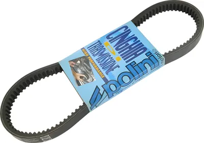 Produktbild von Keilriemen Polini Evolution Aramid für Piaggio Zip SSL 25 bis Bj. 1999