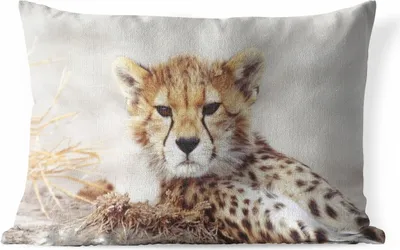 Produktbild von MuchoWow® Outdoor Kissen - Gepard - Jung - Porträt - 50x30 cm - Wetterfest - Lounge Kissen - Sofa kissen - Wohnzimmer Dekoration