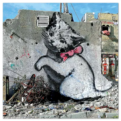 Zdjęcie produktu dla Giallobus - Kotek w Gazie - Banksy - 70D x 70S cm - Obraz - Szkło akrylowe