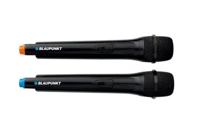 Image de Blaupunkt PartyBox PB12DB PLL FM USB/SD/BT speaker 2xKaraoke Full LED