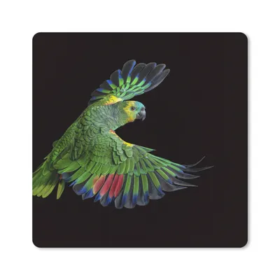 Produktbild von MuchoWow® Mauspad Mousepad Nahaufnahme bunter Papagei 30x30 cm - Mousepads - Maus Mat - Pad - Mausunterlage - Gaming