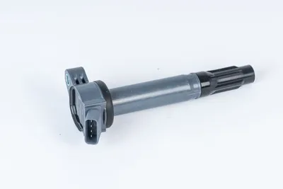 Obrázek produktu pro Zapalovací cívka BorgWarner (BERU) ZSE202