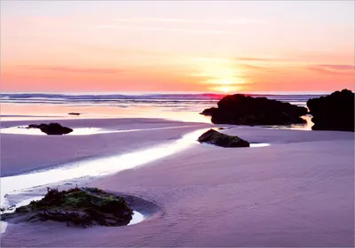 Produktbild von Wallario Poster - Sonnenuntergang am einsamen Strand, Kunstdruck Größe: 70 x 100 cm