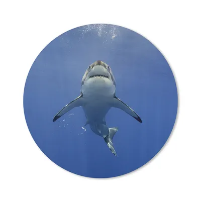 Produktbild von MuchoWow® Mauspad Mousepad Weißer Hai schwimmt auf die Wasseroberfläche zu 30x30 cm - Mousepads - Maus Mat - Pad - Mausunterlage - Tischunterlage - Schreibtischmatten