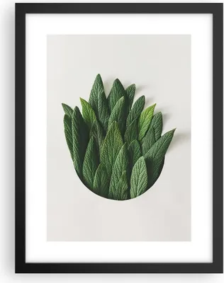 Produktbild von Gerahmtes Poster - Schwarzer Rahmen - Salbei Medizin Blätter - 30x40 cm - Wand Bild - Wanddeko - Wandbilder - Kunstposter - Wandposter - Bilderrahmen - Bilder - Kunstdruck - P2BPA30x40-4859