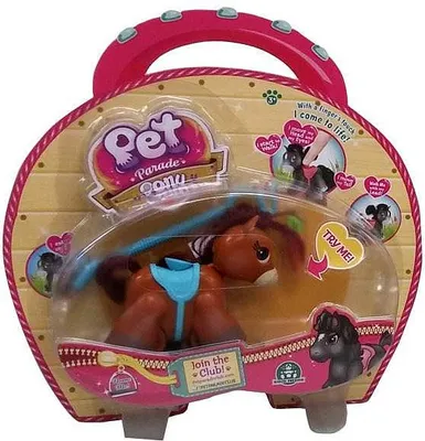 Image de Parade des animaux Poney