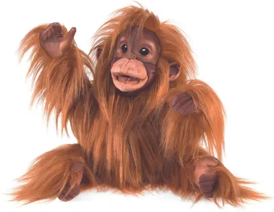 Produktbild von Folkmanis Affe / Baby Orang-Utan 3106