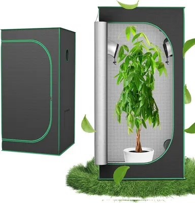Immagine prodotto di QEENTOE, tenda di coltivazione 80x80x160 cm, ideale per la crescita indoor di verdure ed erbe aromatiche, serra per la coltivazione di piante