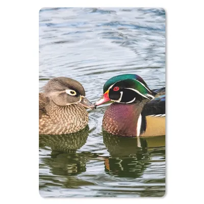 Produktbild von MuchoWow® Mauspad Mousepad Ente - Vögel - Wasser - Federn - Tiere 18x27 cm - Mousepads - Maus Mat - Pad - Mausunterlage