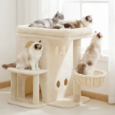 Image de Arbre à chat Kratzbaum de 65 cm, avec une plateforme extra-large, une maison pour chat, un tronc en sisal, et un revêtement en peluche beige, pour intérieur