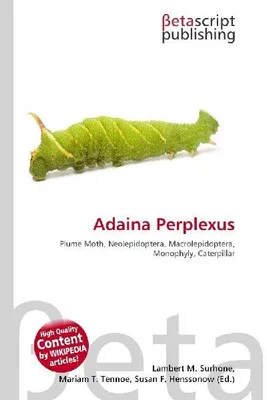 Produktbild von Adaina Perplexus